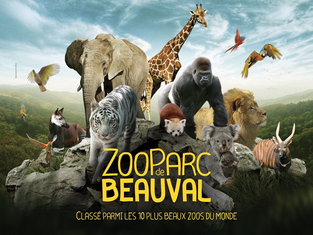 4e plus beau zoo du monde, ZooParc de Beauval - Nos séjours en autocar -  Cars Denis Voyages
